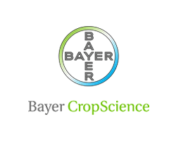 bayer-crop